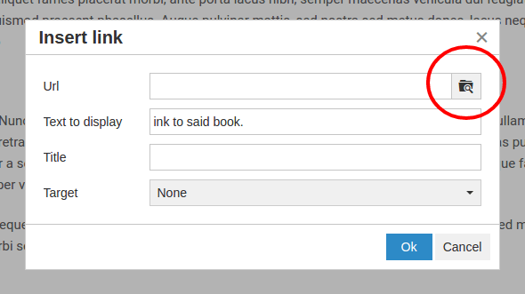 BookStack WYSIWYG link selector