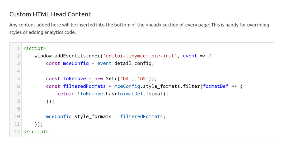 Screenshot of the &ldquo;Custom HTML Head Content&rdquo; setting rendered using a code editor