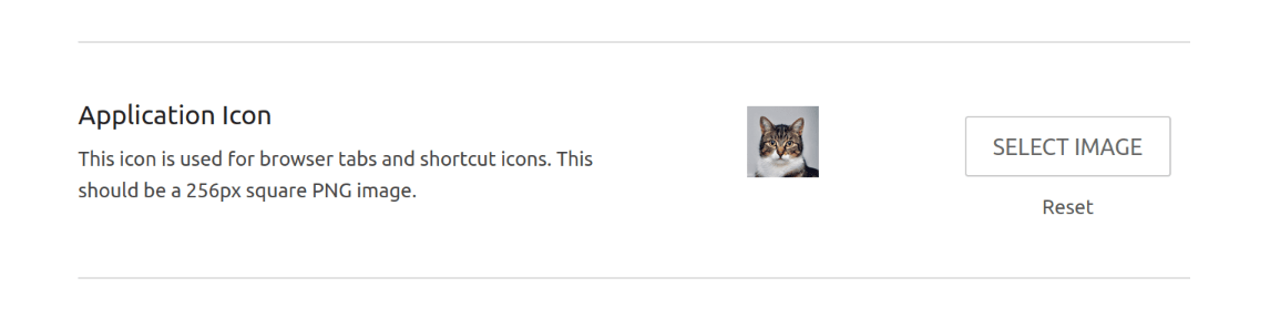 Screenshot of an &ldquo;Application Icon&rdquo; setting with a preview image showing a cat