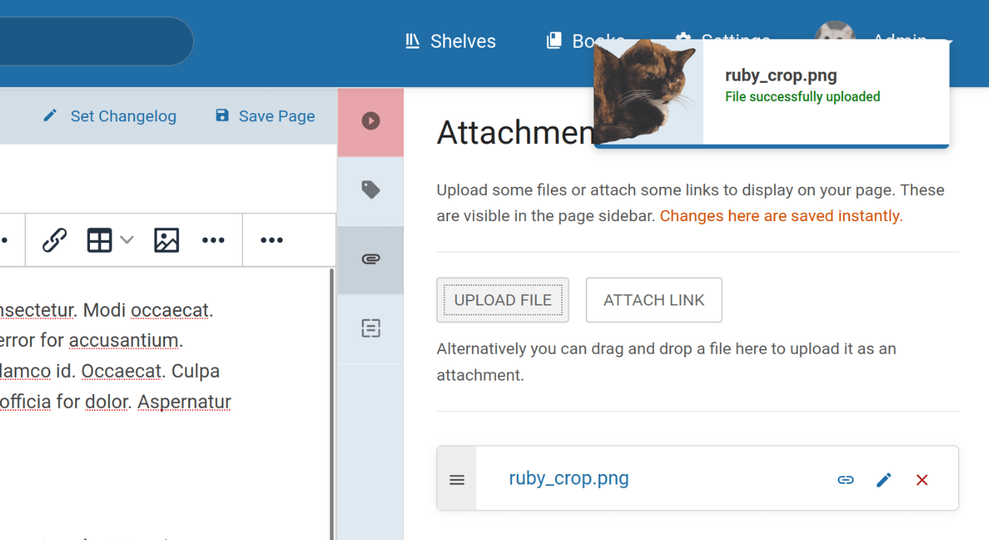 A view of the attachments area of BookStack with an example uploaded file of a cat