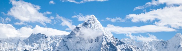 BookStack Has Migrated From GitHub to Codeberg