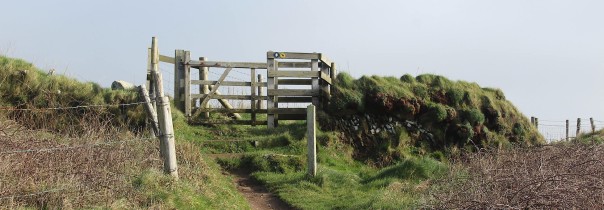 BookStack Security Release v26.03.2