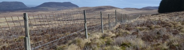 BookStack Security Release v26.03.1