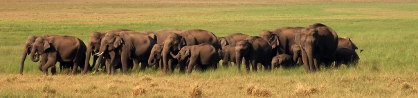 Supporting PHP Infrastructure