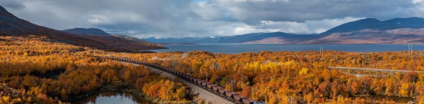 BookStack Release v25.11