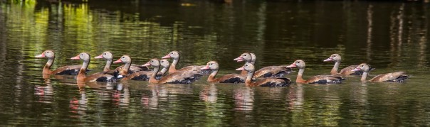 April 2026 Community Updates