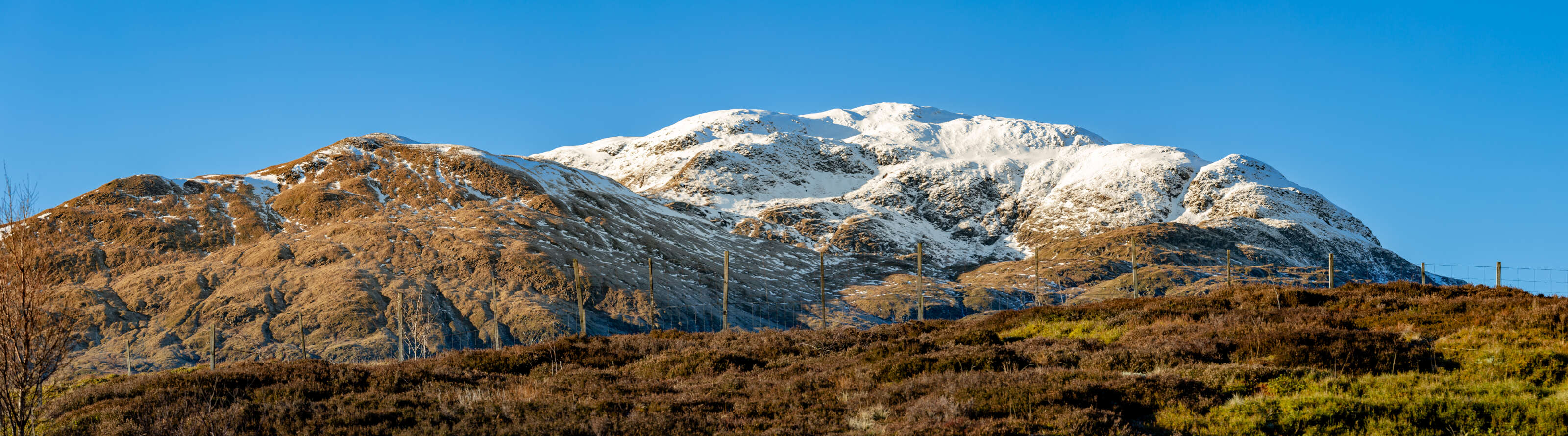 BookStack Security Release v25.12.4 &middot;  BookStack