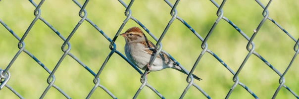 BookStack Security Release v26.03.4