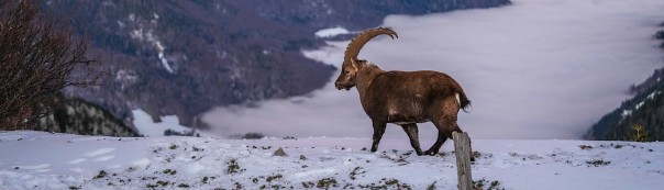 BookStack Release v25.12