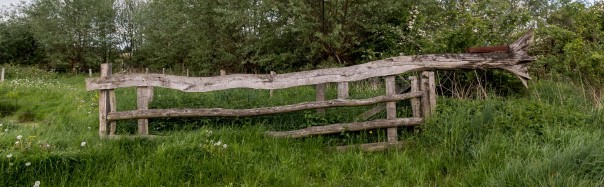 BookStack Security Release v25.11.6