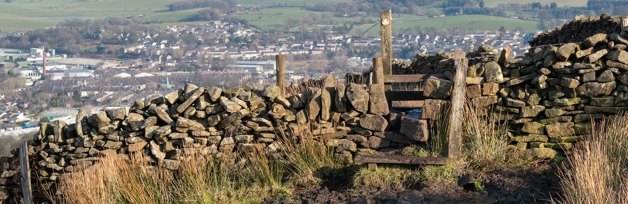 BookStack Security Release v25.12.3 &middot;  BookStack